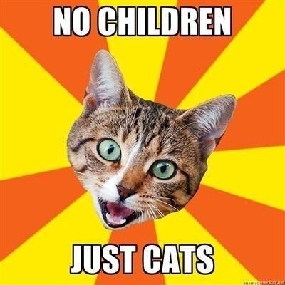 Image result for no kids cats