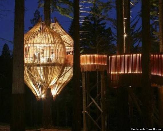 10 Most Epic Tree Houses The Internet Has Ever Seen 