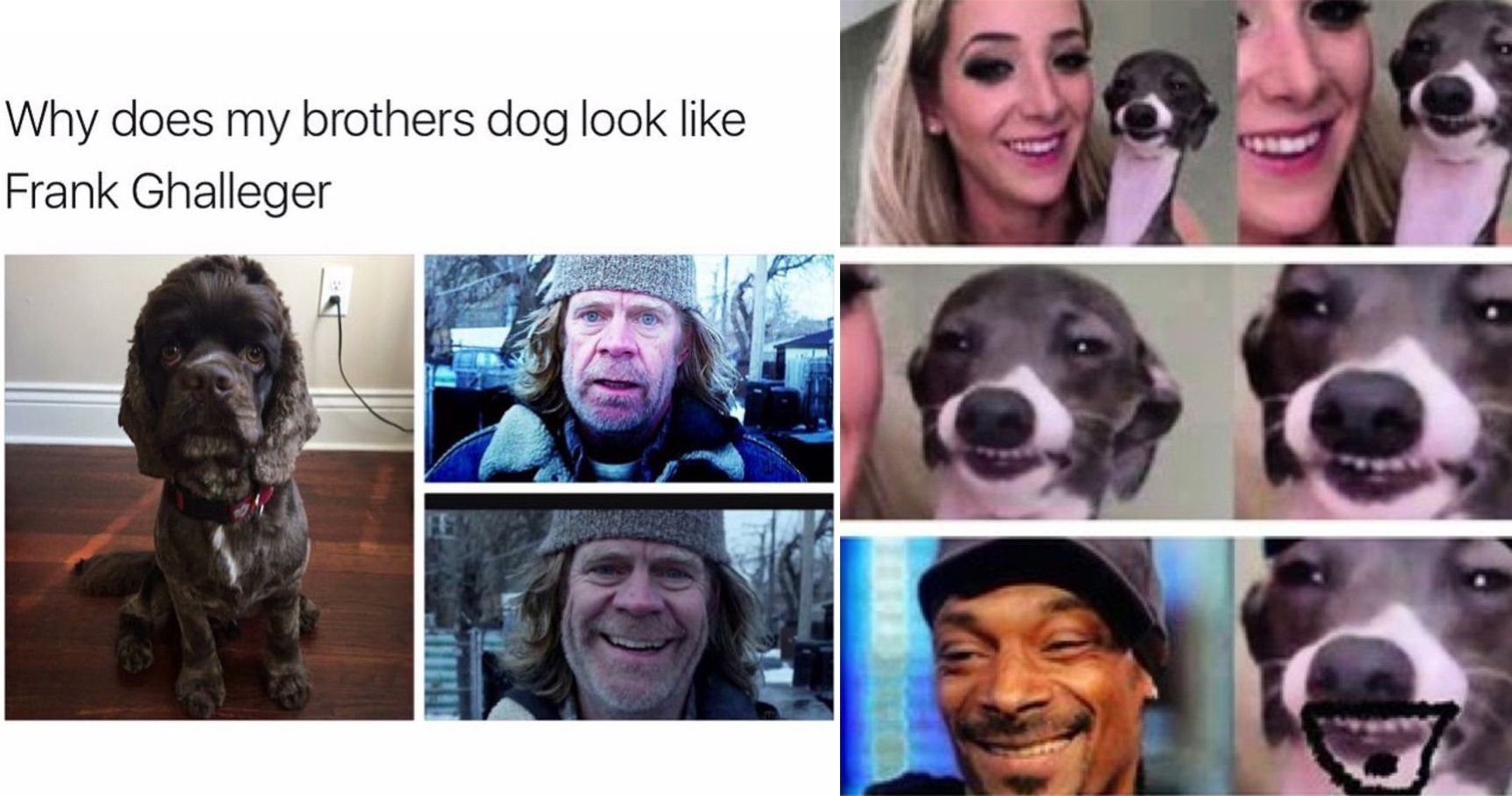 15 People Who Look So Much Like Pets, It's Unbelievable