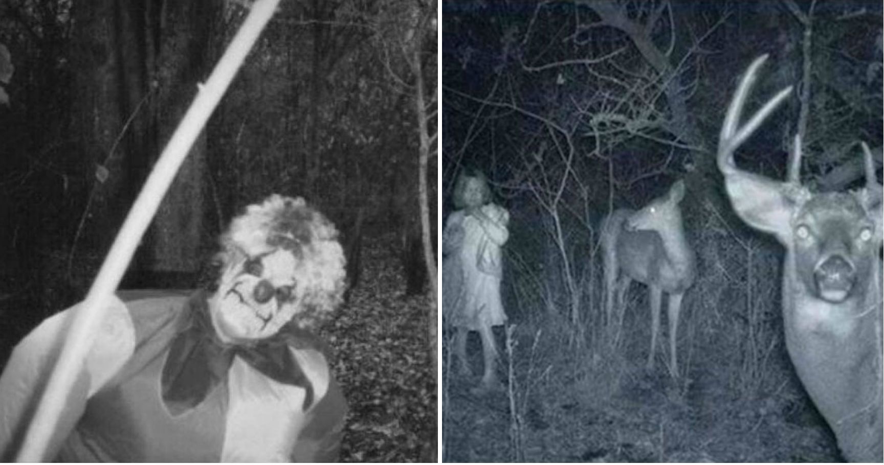 SpineChilling RealLife Images Found On Trail Cameras