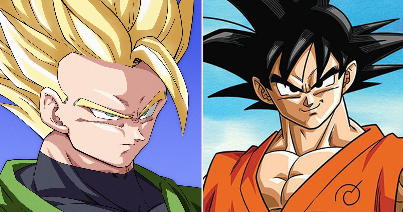 There's one other Dragon Ball Z character who holds an equal standing