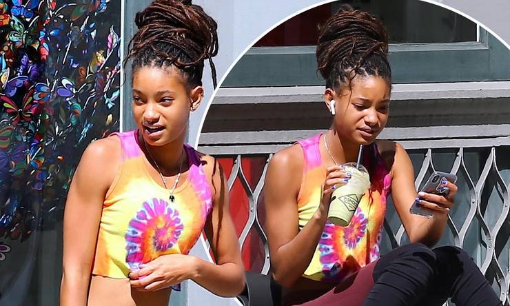 20 Surprising Facts About Will Smith S Daughter Willow