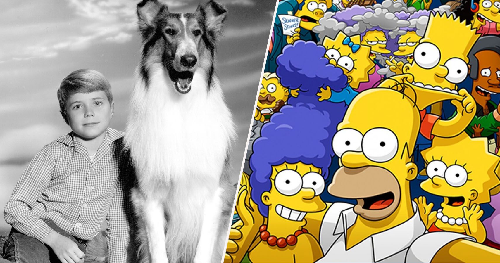 ranked-15-longest-running-tv-shows-of-all-time-thethings