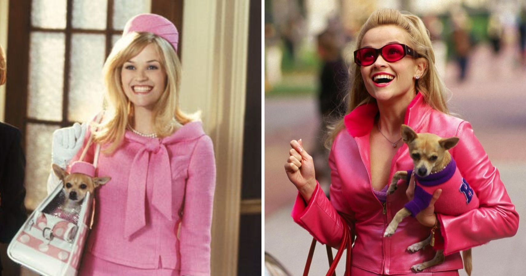 10-things-we-already-know-about-legally-blonde-3-thethings