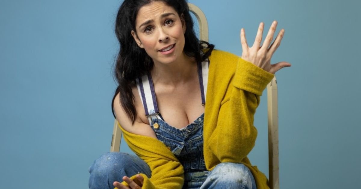 Sarah Silverman posted a photo of her naked breasts to 