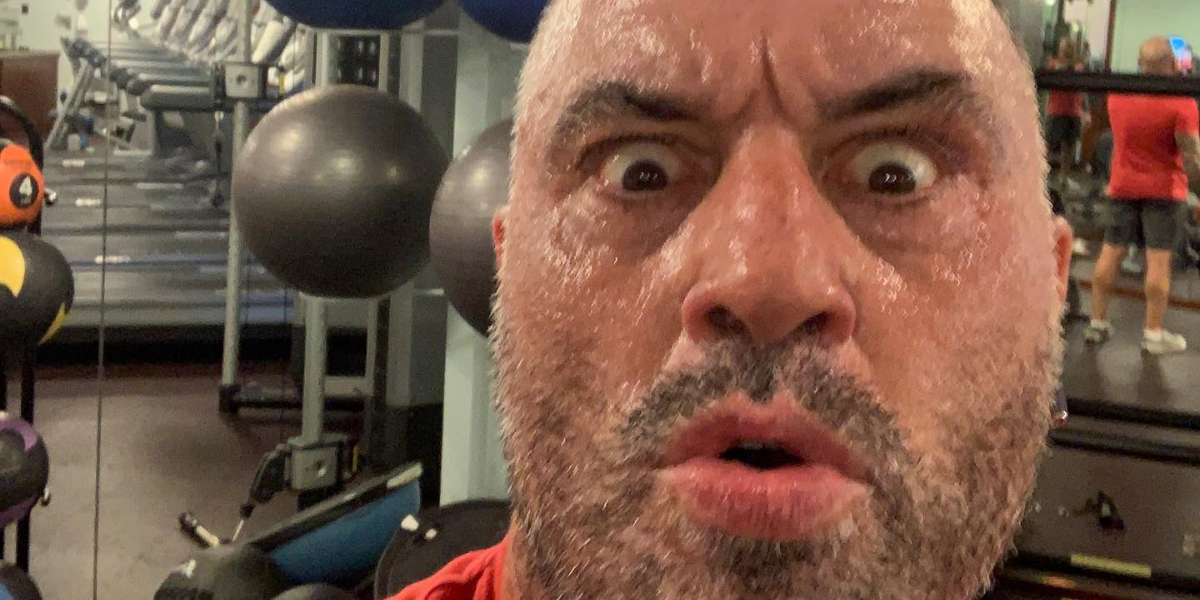 Watch: Brutal Body Shot Knocks Out MMA Fighter at Bellator 