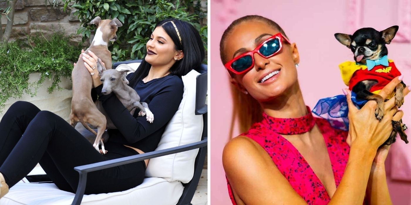 Kylie Jenner & Different Celebs Who Are Canine Lovers For Life